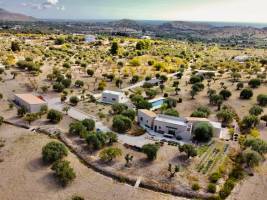 Federica ANTONUCCI - EFFE ARCHITECTURE